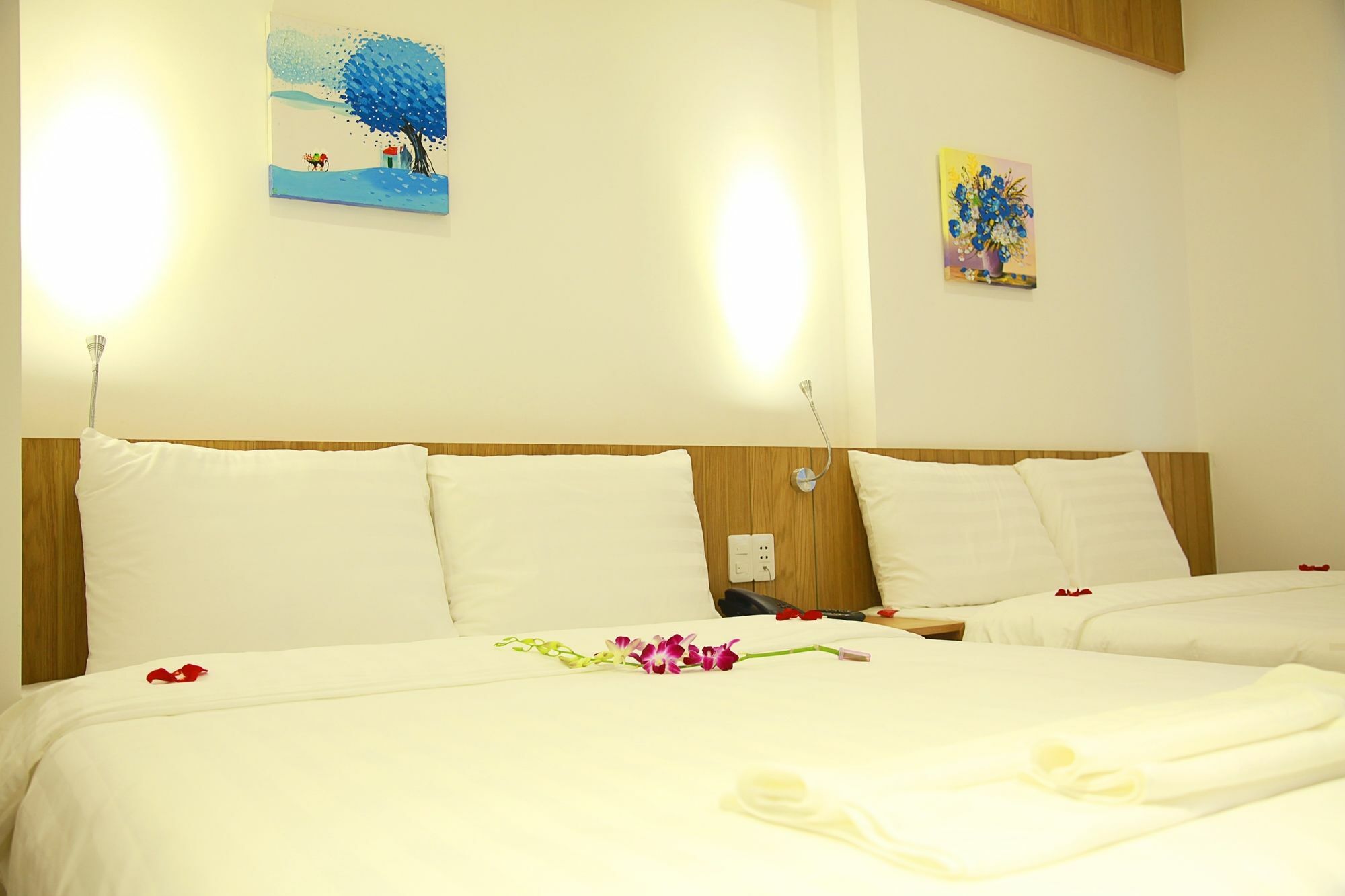 Meraki Hotel Đà Nẵng Ngoại thất bức ảnh